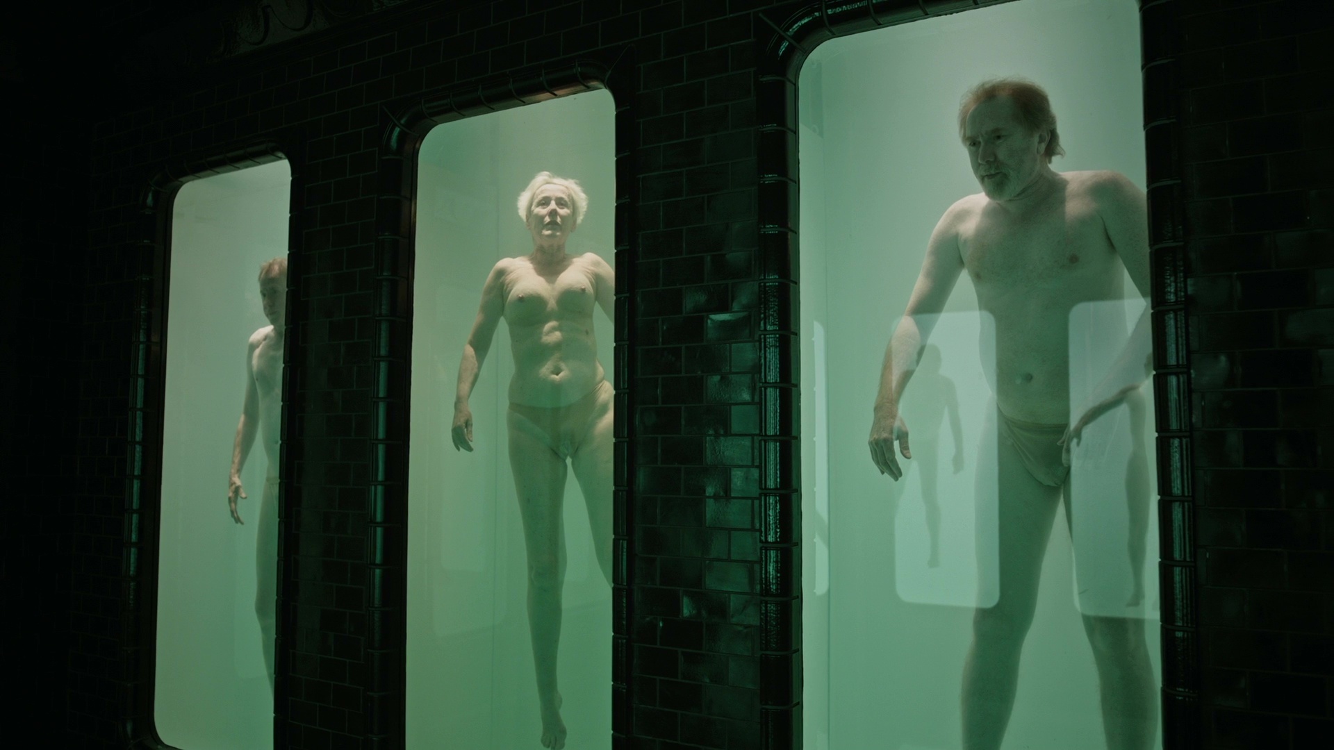 A Cure For Wellness nude pics.