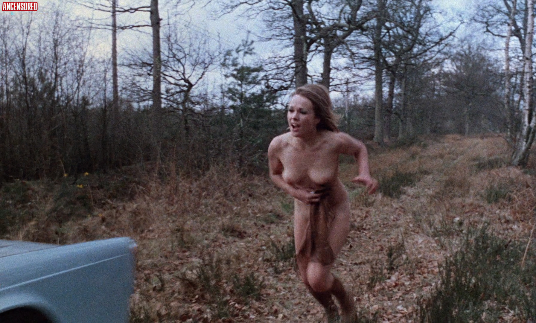 Вивиан Невес nude pics.