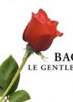 Bachelor gentleman célibataire (2003-настоящее время) Обнаженные сцены