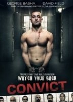 Convict 2014 фильм обнаженные сцены