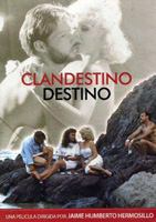 Clandestino destino 1987 фильм обнаженные сцены