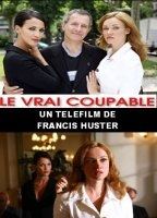 Le vrai coupable (2007) Обнаженные сцены