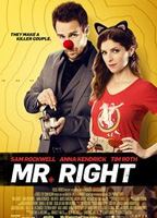 Mr. Right 2015 фильм обнаженные сцены