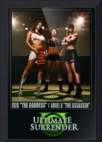 Ultimate Surrender 2004 фильм обнаженные сцены