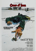 Cross of Iron (1977) Обнаженные сцены