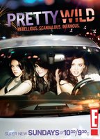 Pretty Wild (2010) Обнаженные сцены