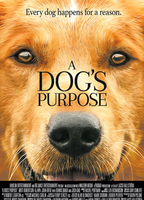 A Dog's Purpose (2017) Обнаженные сцены