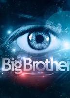 Big Brother Denmark (2001-2014) Обнаженные сцены