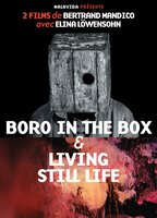 Boro in the Box (2011) Обнаженные сцены