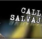 Calles Salvajes 2009 фильм обнаженные сцены