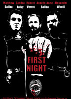 First Night (2014) Обнаженные сцены