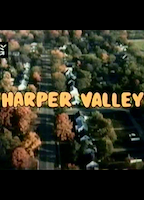 Harper Valley (1981-1982) Обнаженные сцены