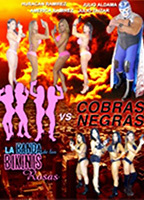 La banda de los bikinis rosas vs Cobras negras  (2013) Обнаженные сцены