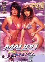 Malibu Spice (1991) Обнаженные сцены
