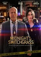 Midnight in the Switchgrass (2021) Обнаженные сцены
