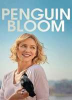 Penguin Bloom 2020 фильм обнаженные сцены