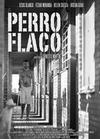 Perro flaco (2011) Обнаженные сцены
