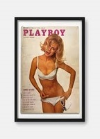 Playboy Playmate of the Year 1963 (1963) Обнаженные сцены