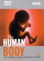 The Human Body  (1998) Обнаженные сцены