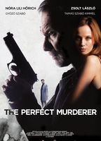 The Perfect Murderer (2017) Обнаженные сцены