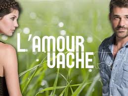 L'amour vache (2010) Обнаженные сцены