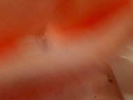 Ребекка Аткинсон nude pics Страница 3