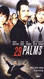 29 Palms обнаженные сцены в фильме