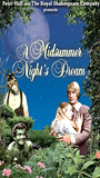 A Midsummer Night's Dream (1999) Обнаженные сцены
