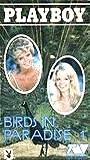 Birds in Paradise (1988) Обнаженные сцены