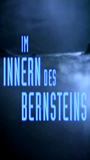 Im Innern des Bernsteins (1995) Обнаженные сцены