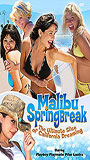 Malibu Spring Break (2003) Обнаженные сцены