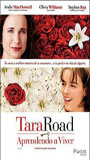 Tara Road (2005) Обнаженные сцены