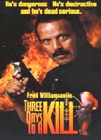 Three Days to a Kill (1991) Обнаженные сцены