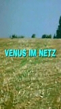 Venus im Netz обнаженные сцены в фильме