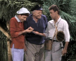 Gilligan's Island (1964-1967) Обнаженные сцены