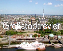 Großstadtrevier 1986 - present фильм обнаженные сцены